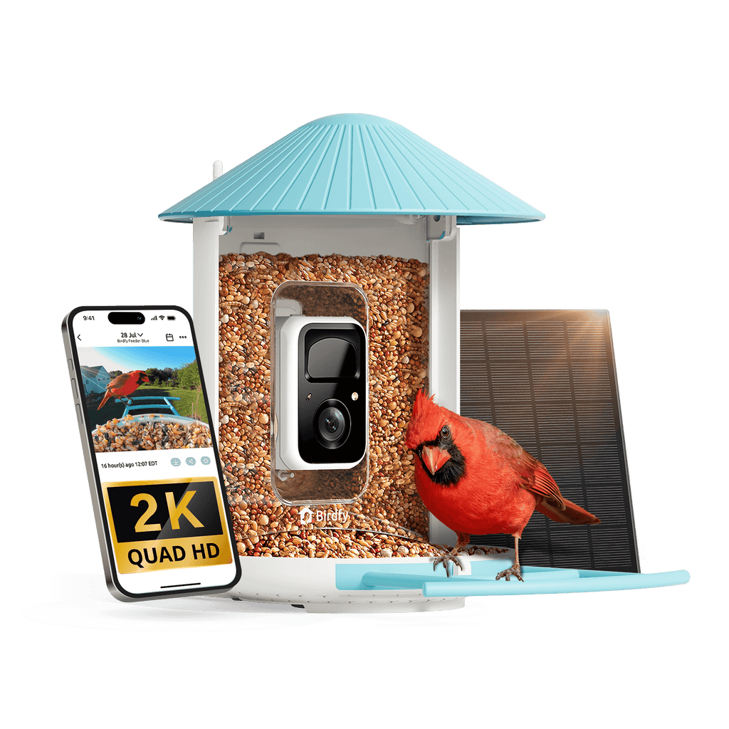 Birdfy Feeder - AI-Powered Smart Bird Feeder with Camera