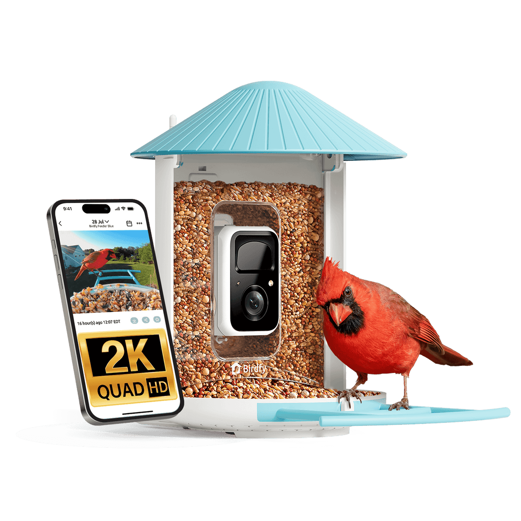 Birdfy Feeder - AI-Powered Smart Bird Feeder with Camera